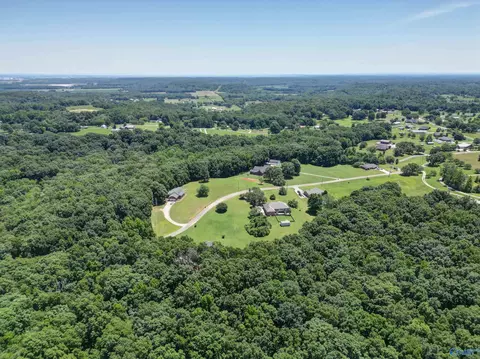 340 County Road 379, Trinity, AL 35673 photo 5