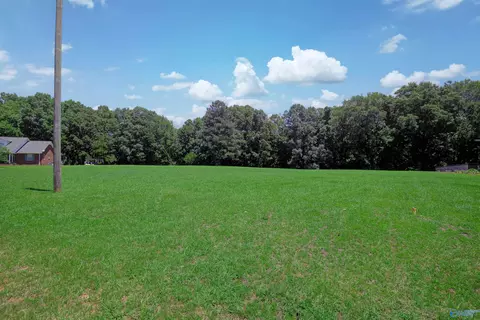 340 County Road 379, Trinity, AL 35673 photo 4