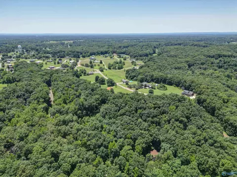340 County Road 379, Trinity, AL 35673 photo 6