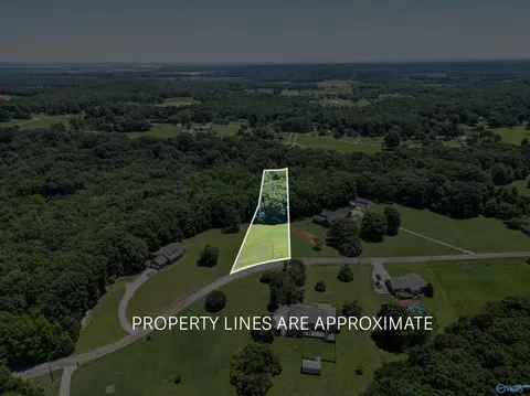 340 County Road 379, Trinity, AL 35673 photo 2