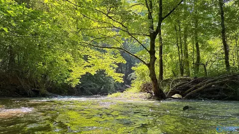 26 Acres County Highway 26, Blountsville, AL 35031