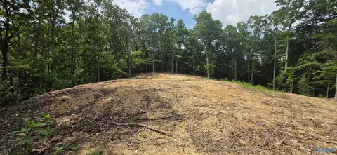 3 08ac Red Oak Dr, Valley Head, AL 35989