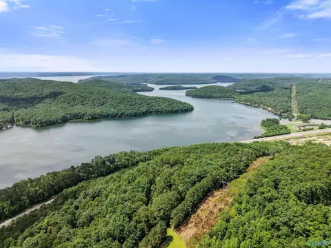 View/Area - 273 Edmonds Dr, Grant, AL 35747 photo 2 of 5