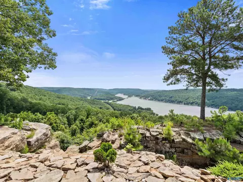 View/Area - 273 Edmonds Dr, Grant, AL 35747 photo 4 of 5