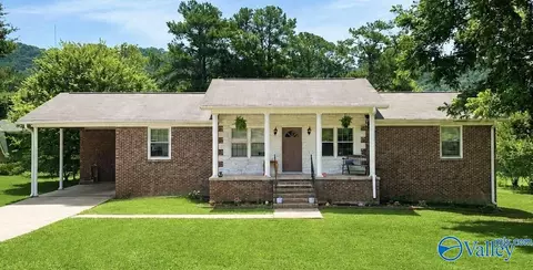 1121 Valley Dr, Reece City, AL 35954
