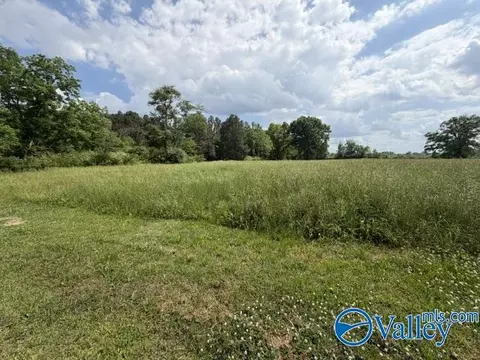 7 Acres South 11th St, Gadsden, AL 35904