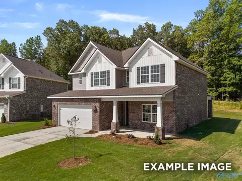 117 Cotita Dr, Toney, AL 35773