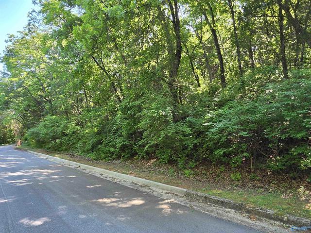 10146 Skylark Dr, Huntsville, AL 35803
