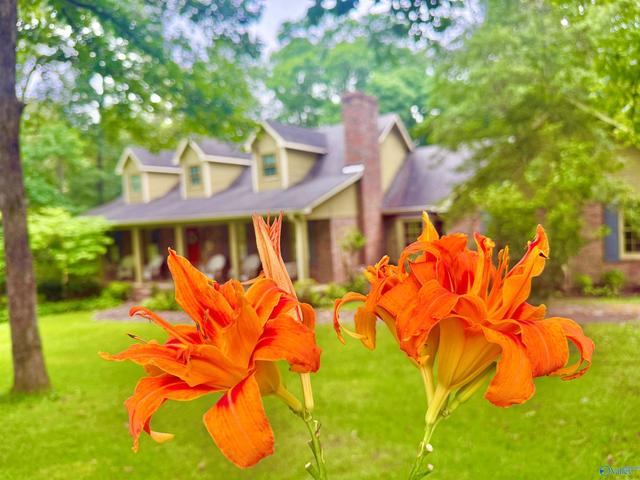 243 Lynnwood Cir, Decatur, AL 35603