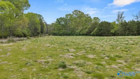 lot D County Road 113, Hollywood, AL 35752