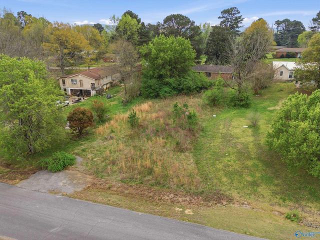 APT Plainview Street, Hartselle, AL 35640