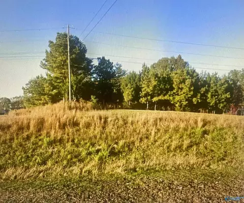 0 80 Acres Hwy 24, Town Creek, AL 35672
