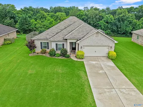 14351 Water Stream Dr, Harvest, AL 35749