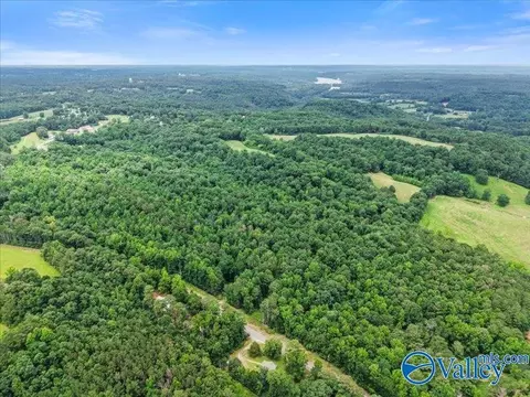 37 0 Acres County Road 940, Crane Hill, AL 35622