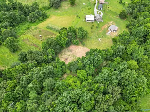 View/Area - 75 Smith Rd, Arab, AL 35016 photo 1 of 4