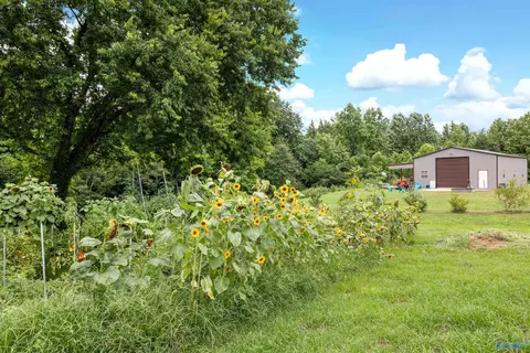 Other - 75 Smith Rd, Arab, AL 35016 photo 13 of 15