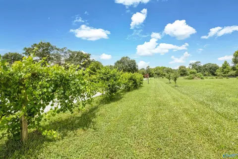 Other - 75 Smith Rd, Arab, AL 35016 photo 12 of 15