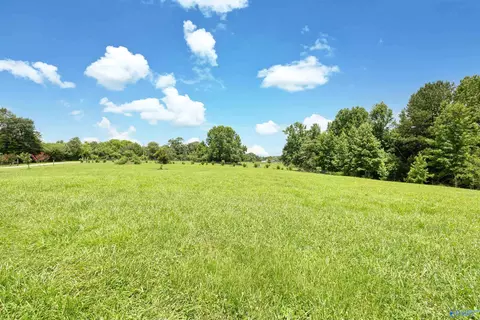 Other - 75 Smith Rd, Arab, AL 35016 photo 11 of 15