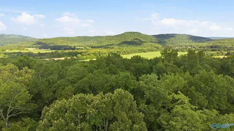 11550 County Road 8, Woodville, AL 35776