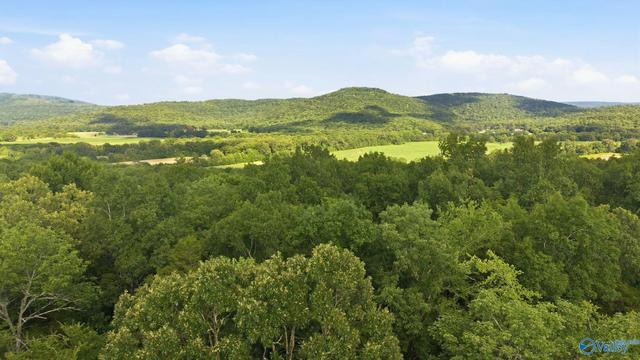 11550 County Road 8, Woodville, AL 35776