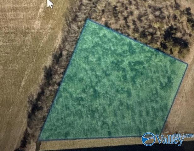 lot2 Croom Cir, Leighton, AL 35646