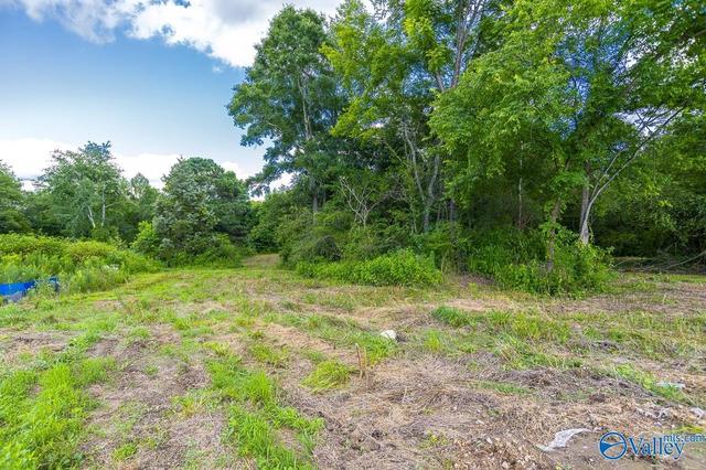 1641 Scott Rd, Hazel Green, AL 35750