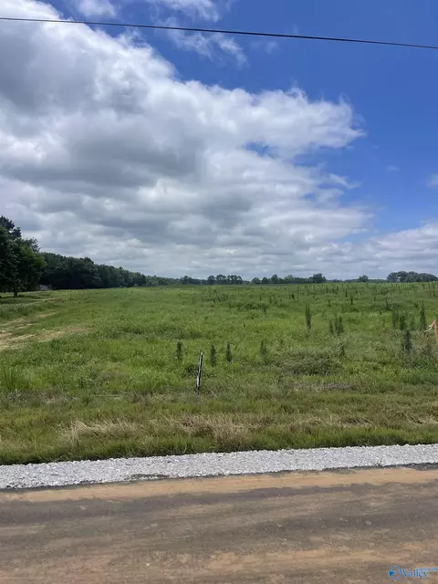 7 Ed Ray Rd, Athens, AL 35611 photo 9