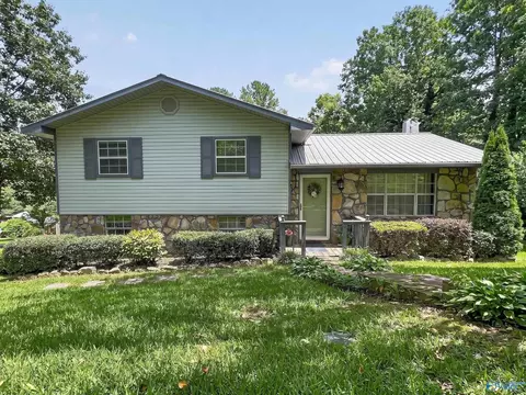 3917 Plains Ave, Fort Payne, AL 35967