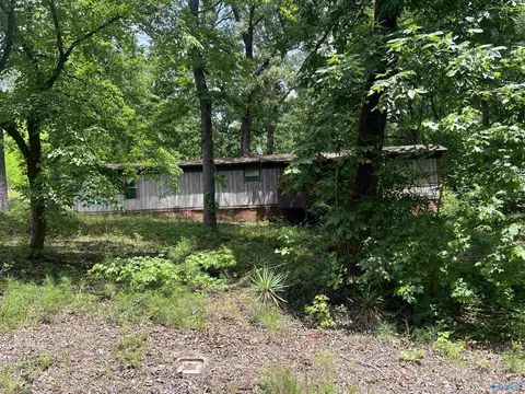 1790 Forest Green Rd, Southside, AL 35907