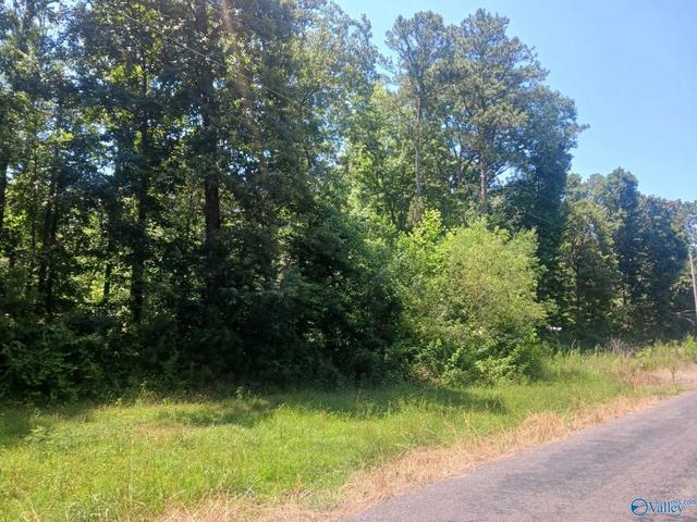 1 15 County Road 126, Pisgah, AL 35765