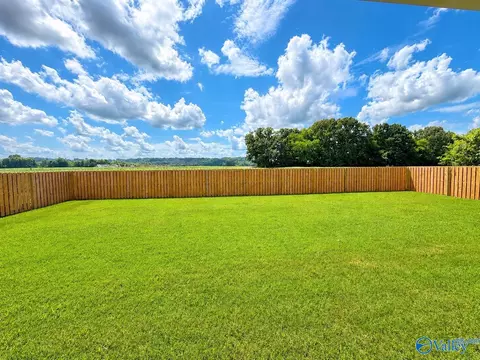 142 Owensby Way, Trinity, AL 35673 photo 17