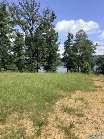 1749 Lookout Mountain Dr, Scottsboro, AL 35769