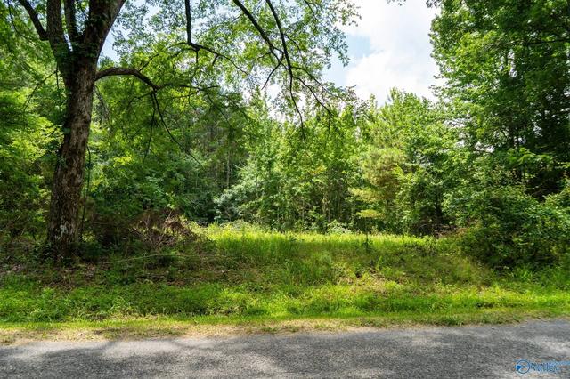 5 37 Acres Mount Carmel Dr, Guntersville, AL 35976