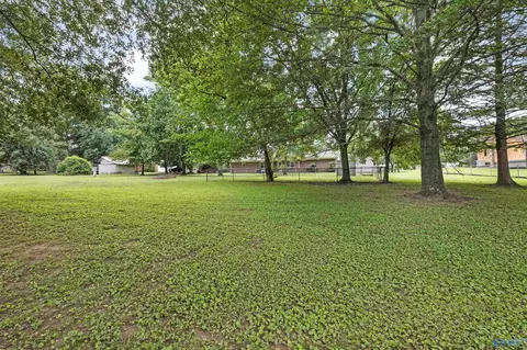 240 Dee Ann Rd, Trinity, AL 35673 photo 25