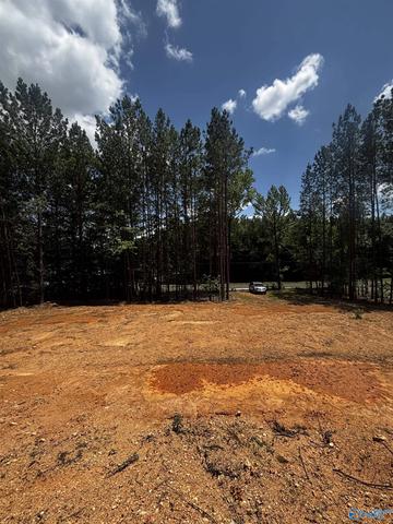 149 County Road 686, Cedar Bluff, AL 35959