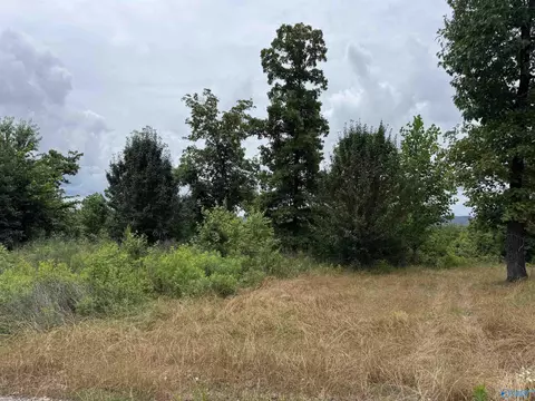 75 Vista Trl, Southside, AL 35907