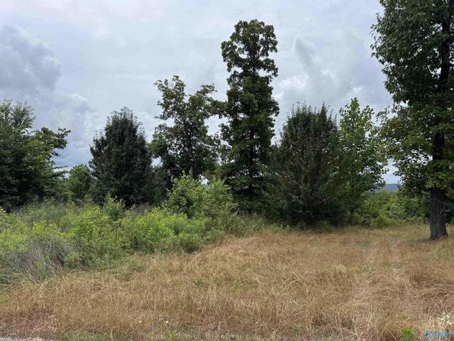 75 Vista Trl, Southside, AL 35907