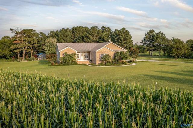 264 Ford Ave, Albertville, AL 35951
