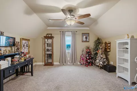 11 Tower St, Trinity, AL 35673 photo 34