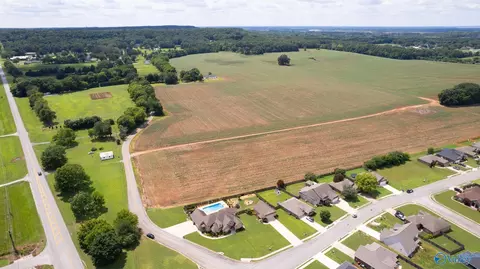 11 Tower St, Trinity, AL 35673 photo 50