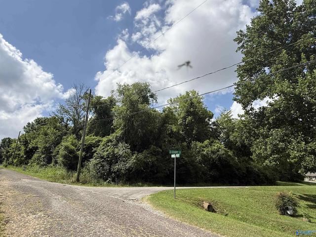 0 47 Acres South Ct, Gadsden, AL 36904