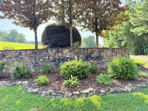 42 Legendary Dr, Guntersville, AL 35976