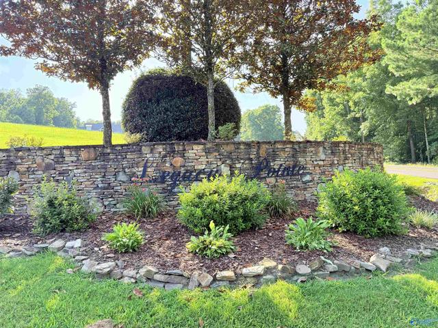 42 Legendary Dr, Guntersville, AL 35976