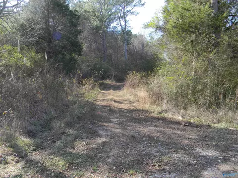 Track 7 County Road 41, Gaylesville, AL 35973