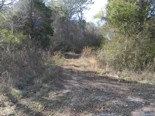 Track 7 County Road 41, Gaylesville, AL 35973