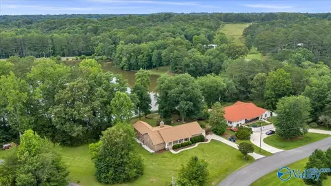 1071 Lakeview Ln, Arab, AL 35016