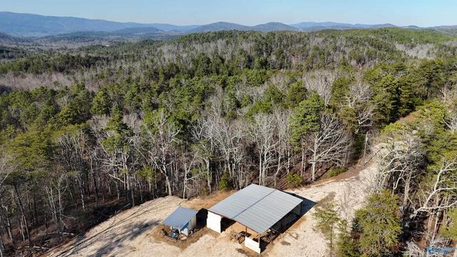 1032 County Road 202, Borden Springs, AL 36272
