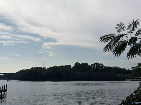 Tract A & B River Pointe Drive, Cedar Bluff, AL 35959 photo 7