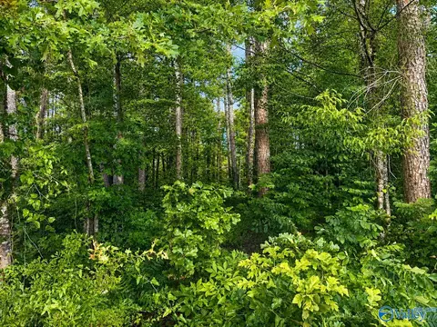 Tract A & B River Pointe Drive, Cedar Bluff, AL 35959 photo 4