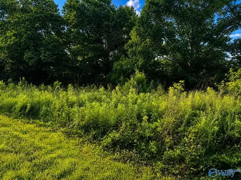 Tract A & B River Pointe Drive, Cedar Bluff, AL 35959 photo 3